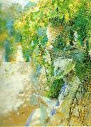 Carl Larsson fruntimmer som latsas lasa-lasande kvinna Spain oil painting artist